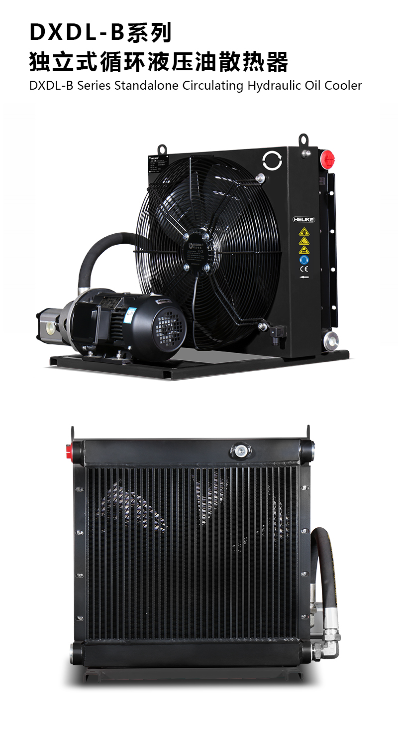 1770104656490852.jpg DXDLB.jpg