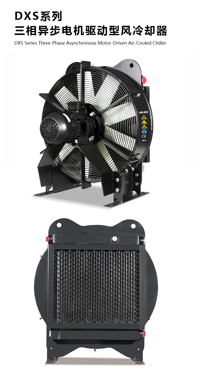 1770105757967235.jpg DXS.jpg